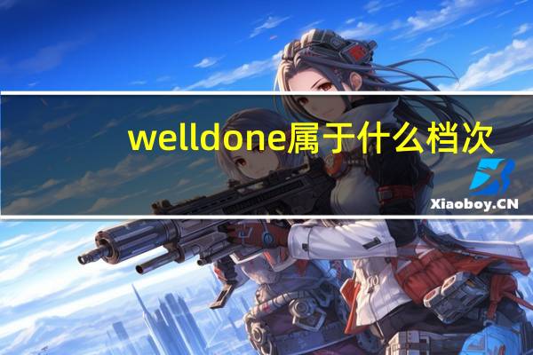 welldone属于什么档次