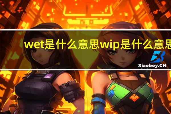 wet是什么意思 wip是什么意思