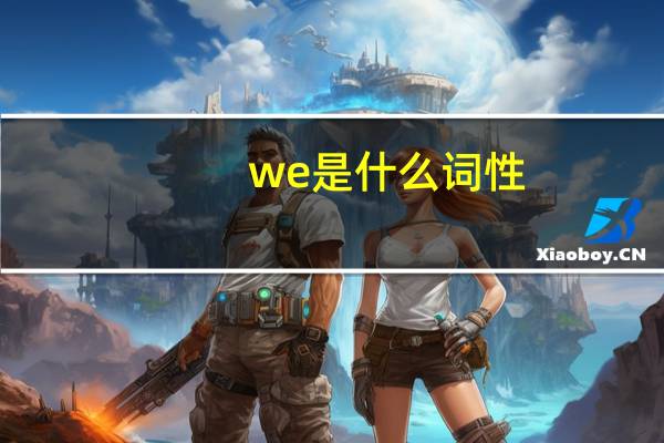 we是什么词性