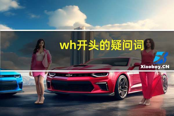 wh开头的疑问词