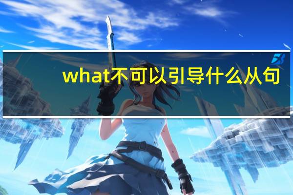 what不可以引导什么从句