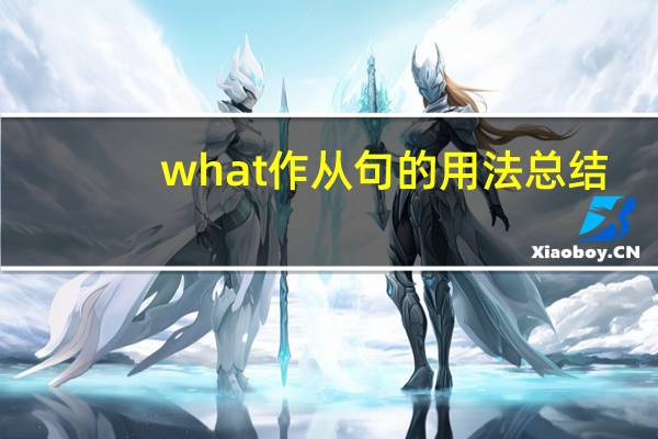 what作从句的用法总结