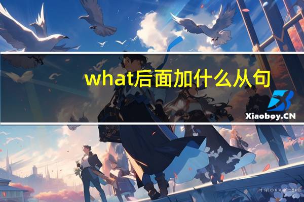what后面加什么从句