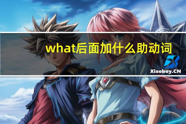 what后面加什么助动词
