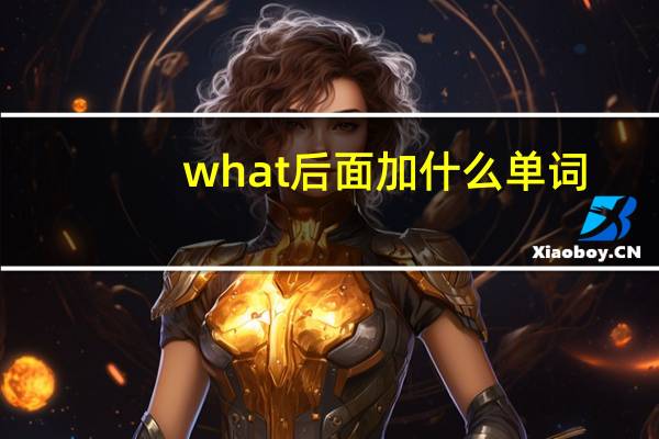 what后面加什么单词