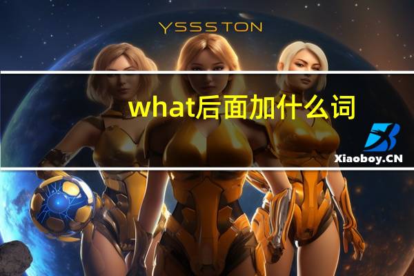 what后面加什么词