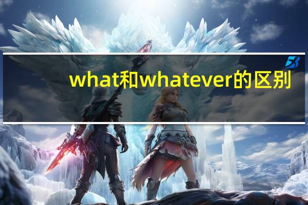 what和whatever的区别