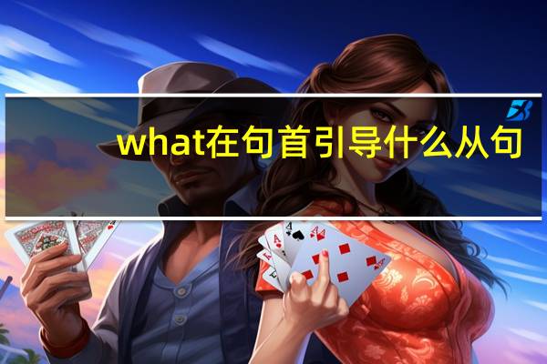 what在句首引导什么从句