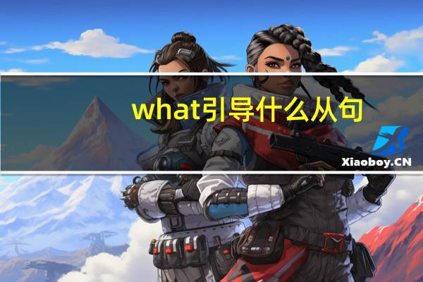 what引导什么从句,怎么用