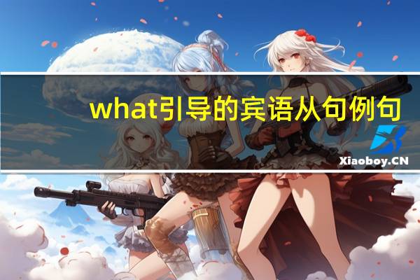 what引导的宾语从句例句