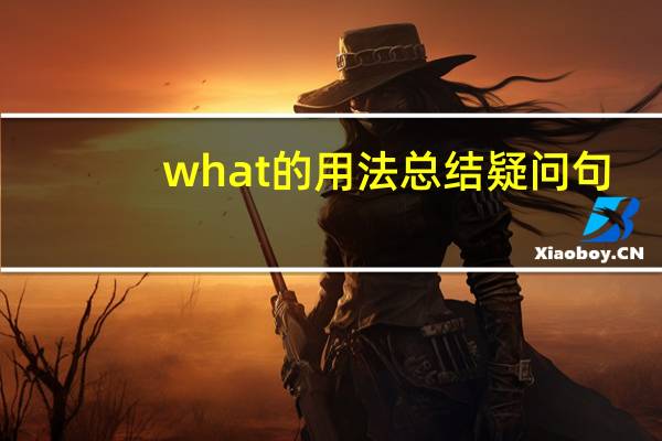 what的用法总结疑问句