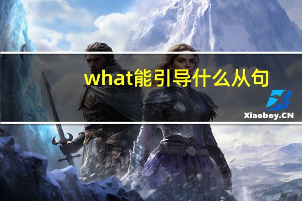 what能引导什么从句