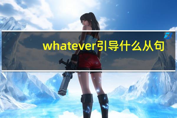 whatever 引导什么从句