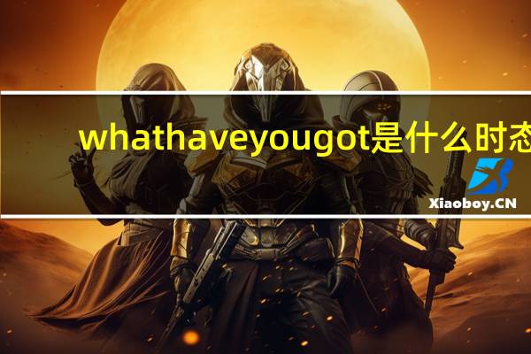 whathaveyougot是什么时态