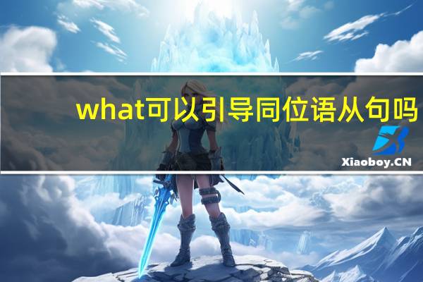 what可以引导同位语从句吗