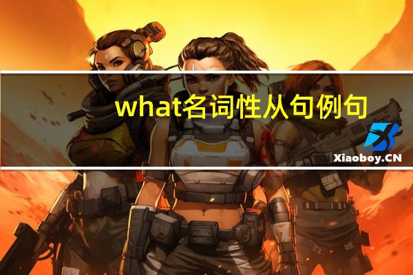 what名词性从句例句