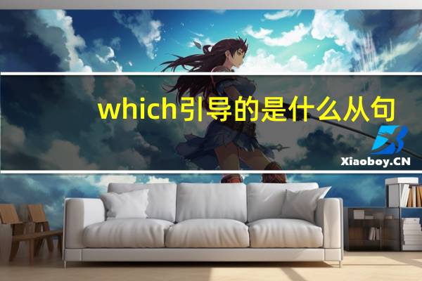 which引导的是什么从句