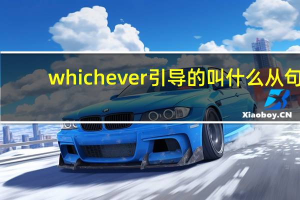 whichever引导的叫什么从句