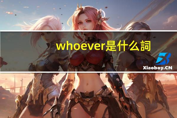 whoever是什么詞