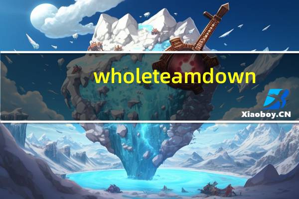 whole team down（whole down登陆）