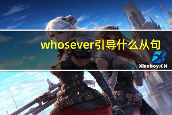 whosever引导什么从句