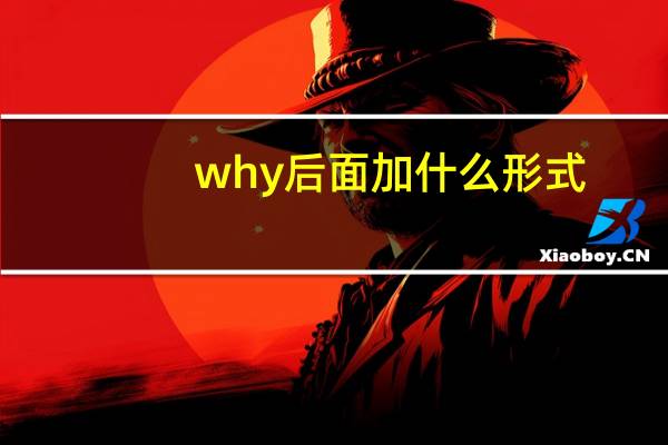 why后面加什么形式