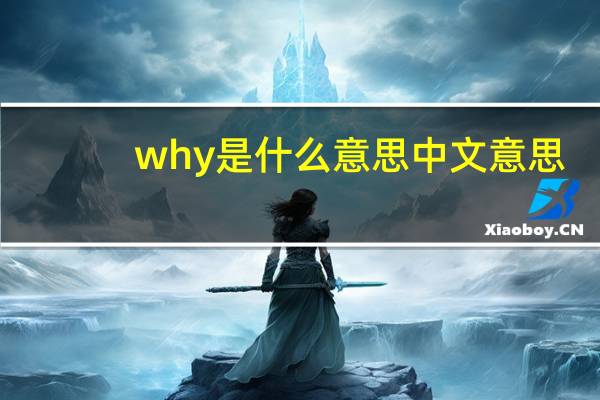 why是什么意思中文意思