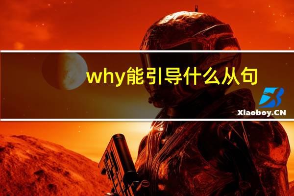 why能引导什么从句