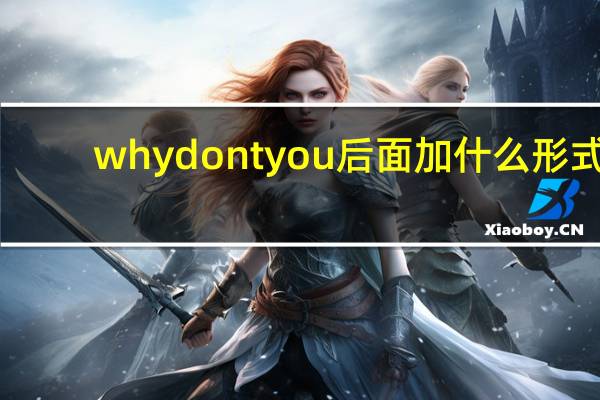 whydontyou后面加什么形式