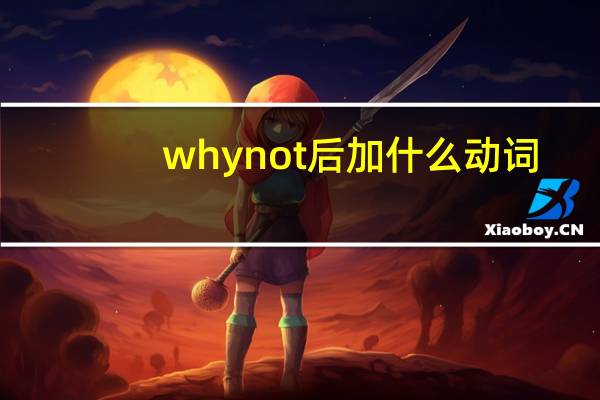 whynot后加什么动词