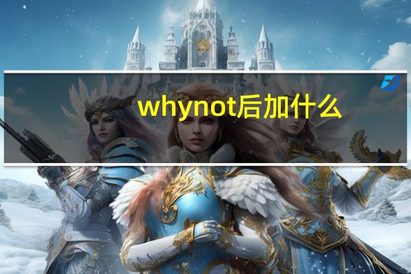 whynot后加什么?