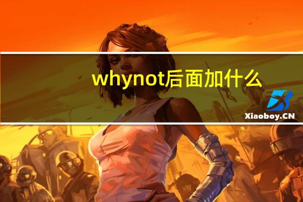 why not后面加什么?