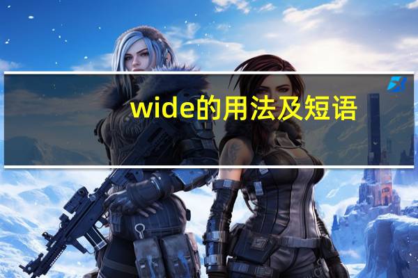 wide的用法及短语
