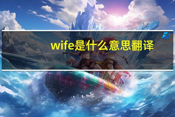 wife是什么意思 翻译（wife是什么）