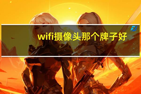 wifi摄像头那个牌子好