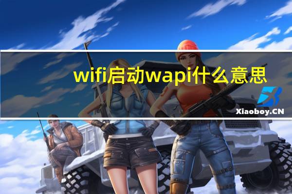 wifi启动wapi什么意思(api什么意思)