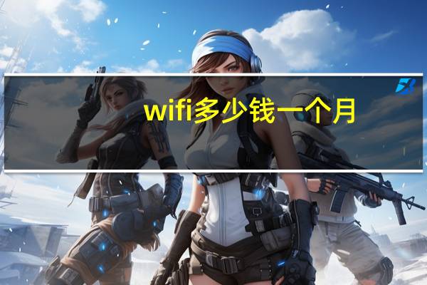wifi多少钱一个月