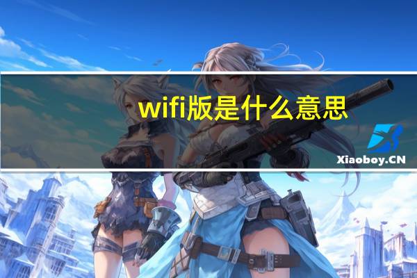 wifi版是什么意思