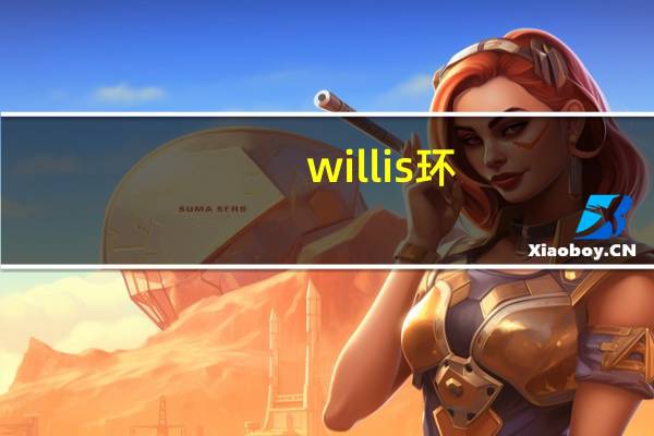 willis环
