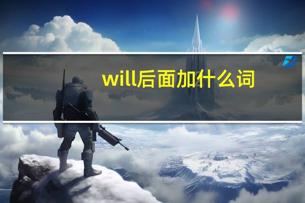 will后面加什么词_
