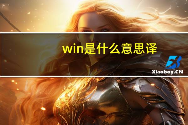 win是什么意思译