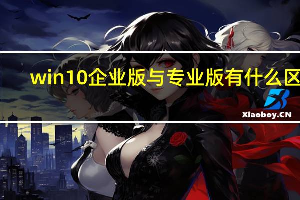 win10企业版与专业版有什么区别