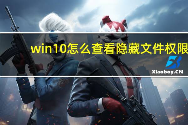 win10怎么查看隐藏文件权限（win10怎么查看隐藏文件夹）