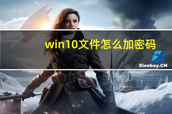 win10文件怎么加密码（文件怎么加密码）