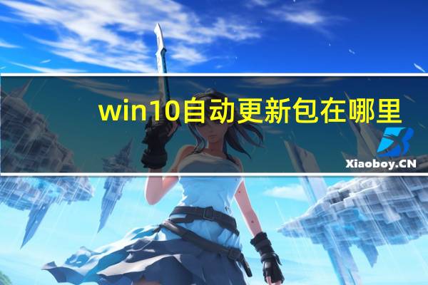 win10自动更新包在哪里（win10自动更新在哪）