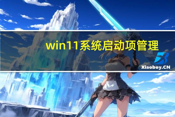win11系统启动项管理（系统启动项管理）