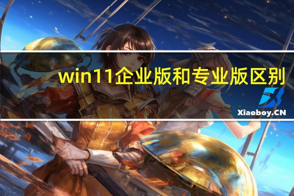 win11企业版和专业版区别