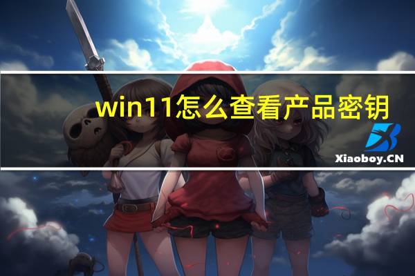 win11怎么查看产品密钥