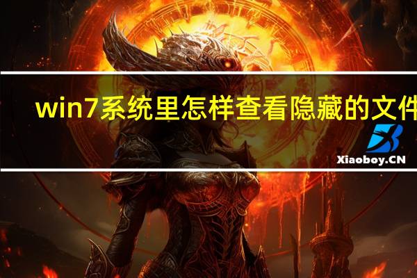 win7系统里怎样查看隐藏的文件夹（win7系统里怎样查看隐藏的文件夹）