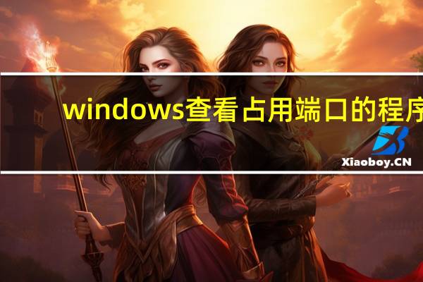 windows查看占用端口的程序